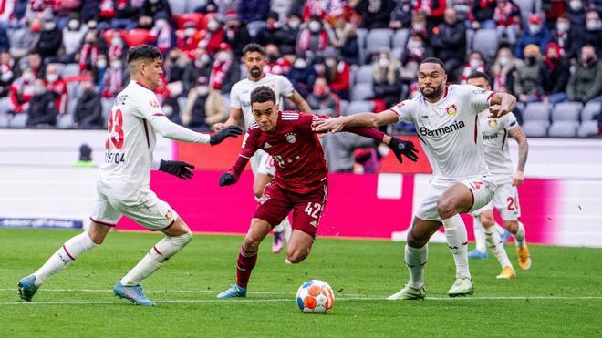 موسيالا