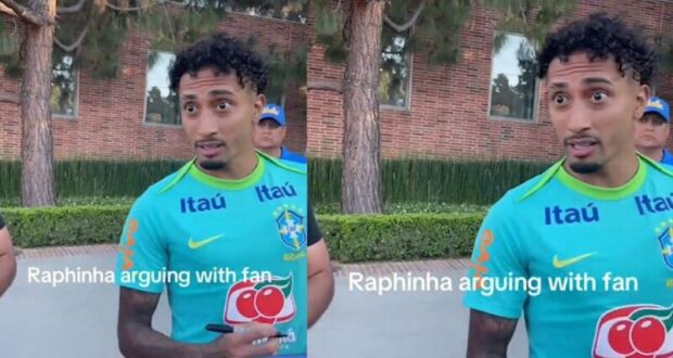رافينيا