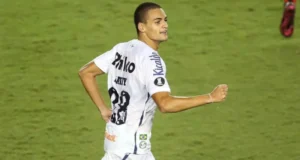 كايكي