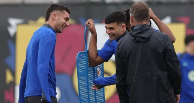 فيران و بيدري
