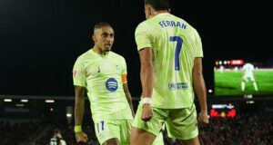رافينيا