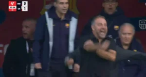 هانزي فليك