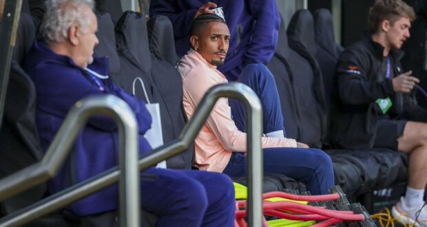 رافينيا
