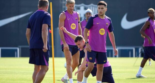 روني باردغجي