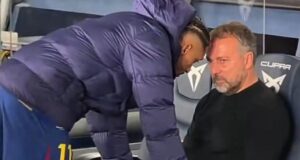 فليك و رافينيا