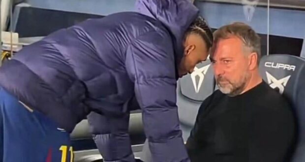 فليك و رافينيا