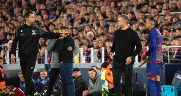 رافينيا و فليك