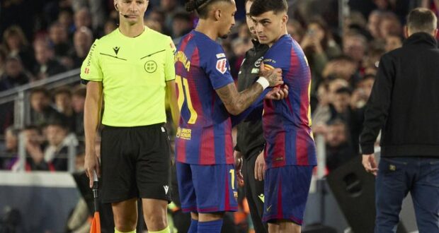 بيدري و رافينيا