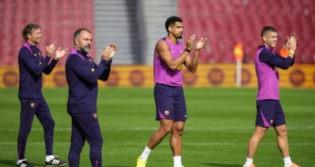 أراوخو و فليك