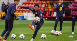 أجاي تافاريس