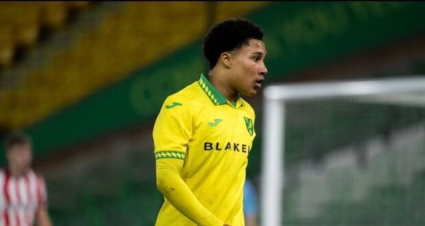 أجاي تافاريس