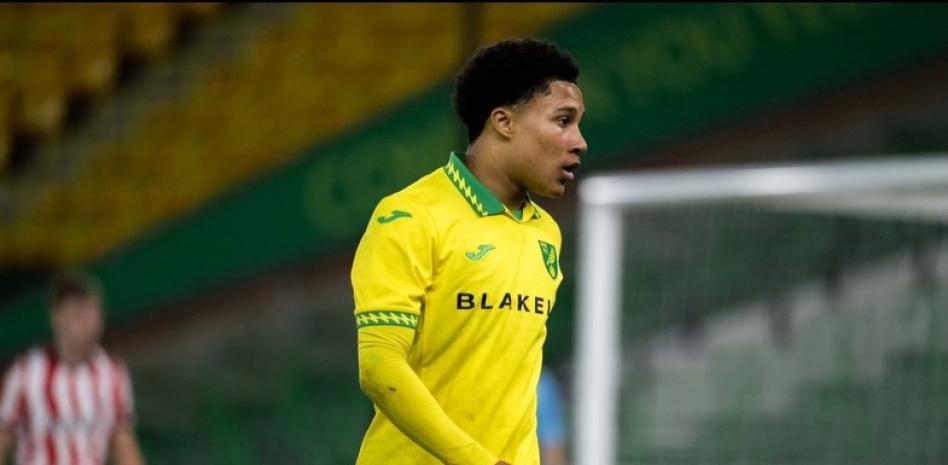 أجاي تافاريس