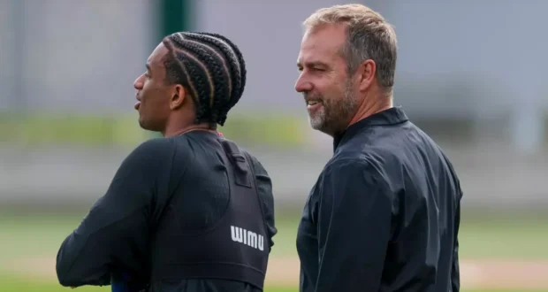 بالدي و فليك