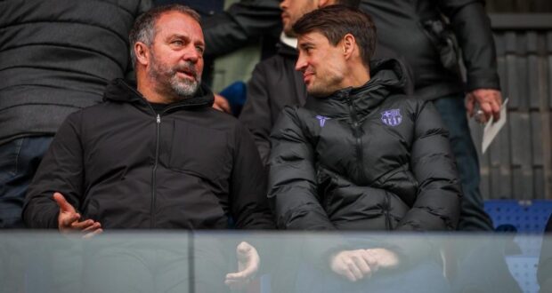 فليك و بويان