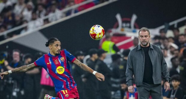 فليك و رافينيا