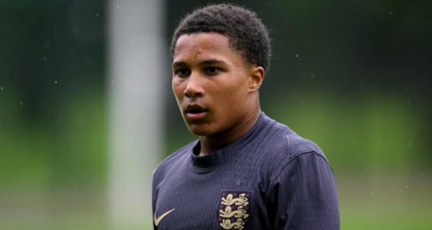 أجاي تافاريس