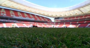 عشب ملعب ميتروبوليتانو