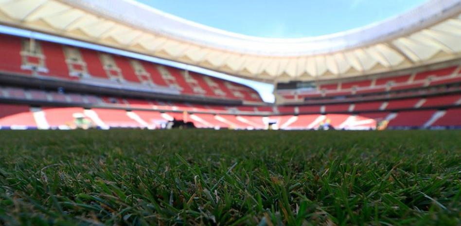 عشب ملعب ميتروبوليتانو