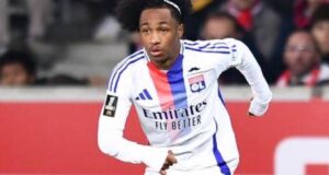 مالك فوفانا، أقصى ليون