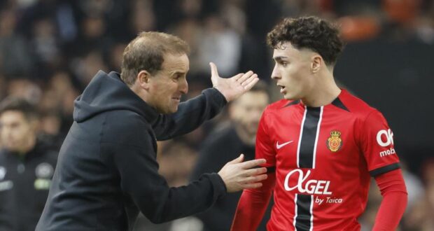 يان فيرجيلي