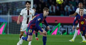 تومي ماركيس