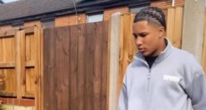 أجاي تافاريس