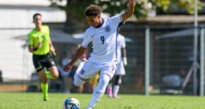 أجاي تافاريس