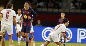 فيتينيا و بيدري