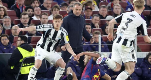 69bb0a1f21e15.r d.1303 1000 3638