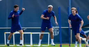 أراوخو و كريستنسن