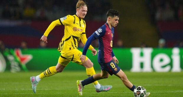 بيدري و يوليان براندت