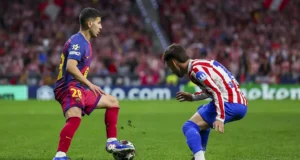 روني باردغجي