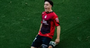 يان فيرجيلي