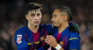 رافينيا و بيدري