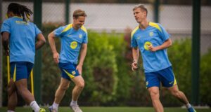 أولمو و دي يونغ