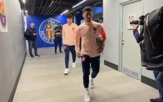 روني باردغجي