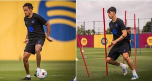 رافينيا وبيرنال