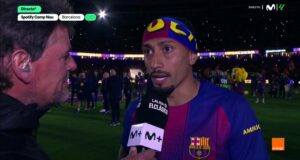 رافينيا
