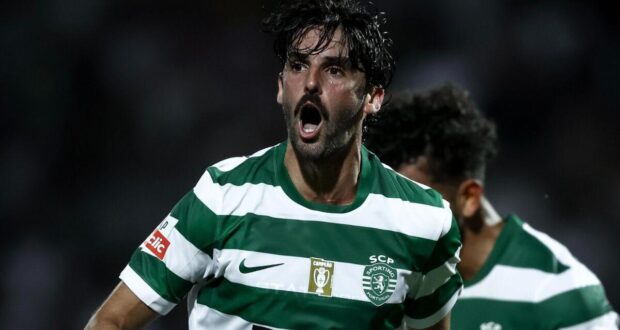 ترينكاو