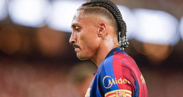 رافينيا