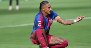 رافينيا
