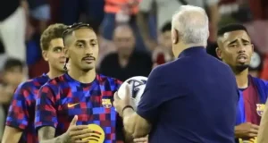 رافينيا