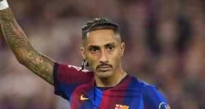 رافينيا