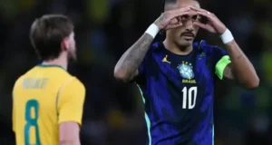 رافينيا