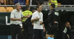 بيليغريني